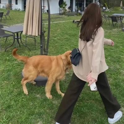 糊涂舰长