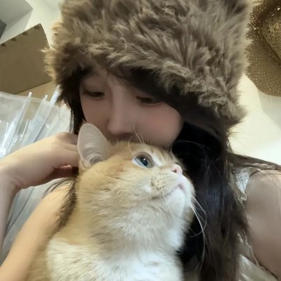 韩裔美人的日与夜