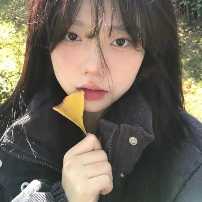记忆折叠